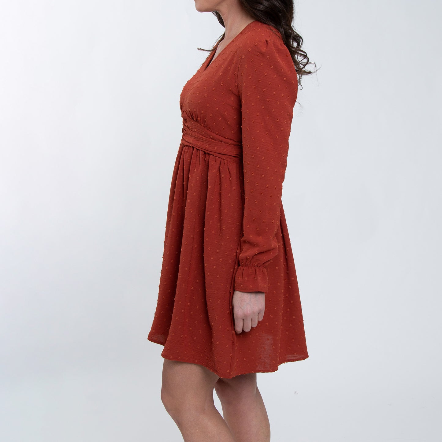 Hayden Swiss Dot Long Sleeve Ruched V-Neck Dress