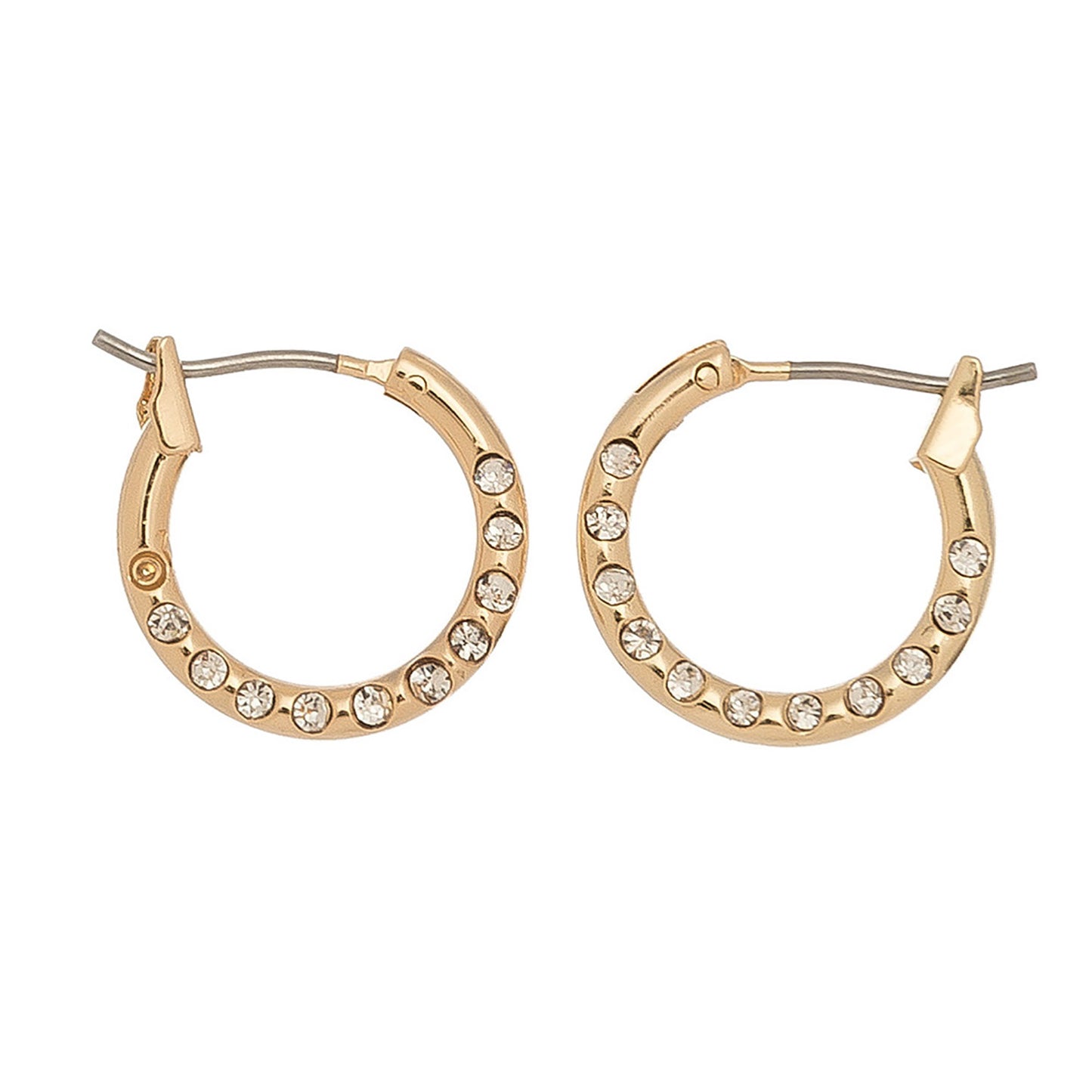 Stone Accent Hoop Earrings