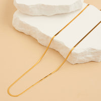 Waterproof Necklace Dainty 20" Snake Chain Narelle