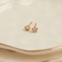 Waterproof Earrings 4mm Round Cubic Zirconia Stud Narelle