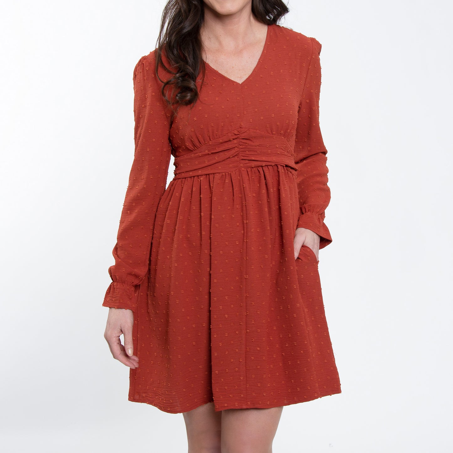 Hayden Swiss Dot Long Sleeve Ruched V-Neck Dress