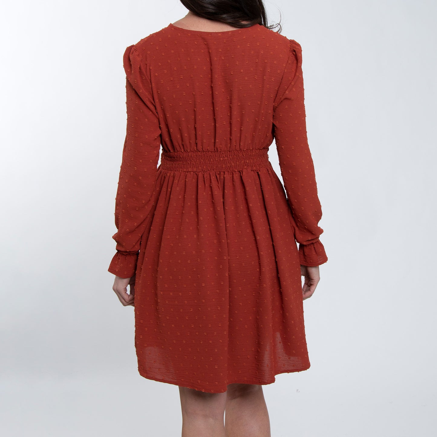 Hayden Swiss Dot Long Sleeve Ruched V-Neck Dress