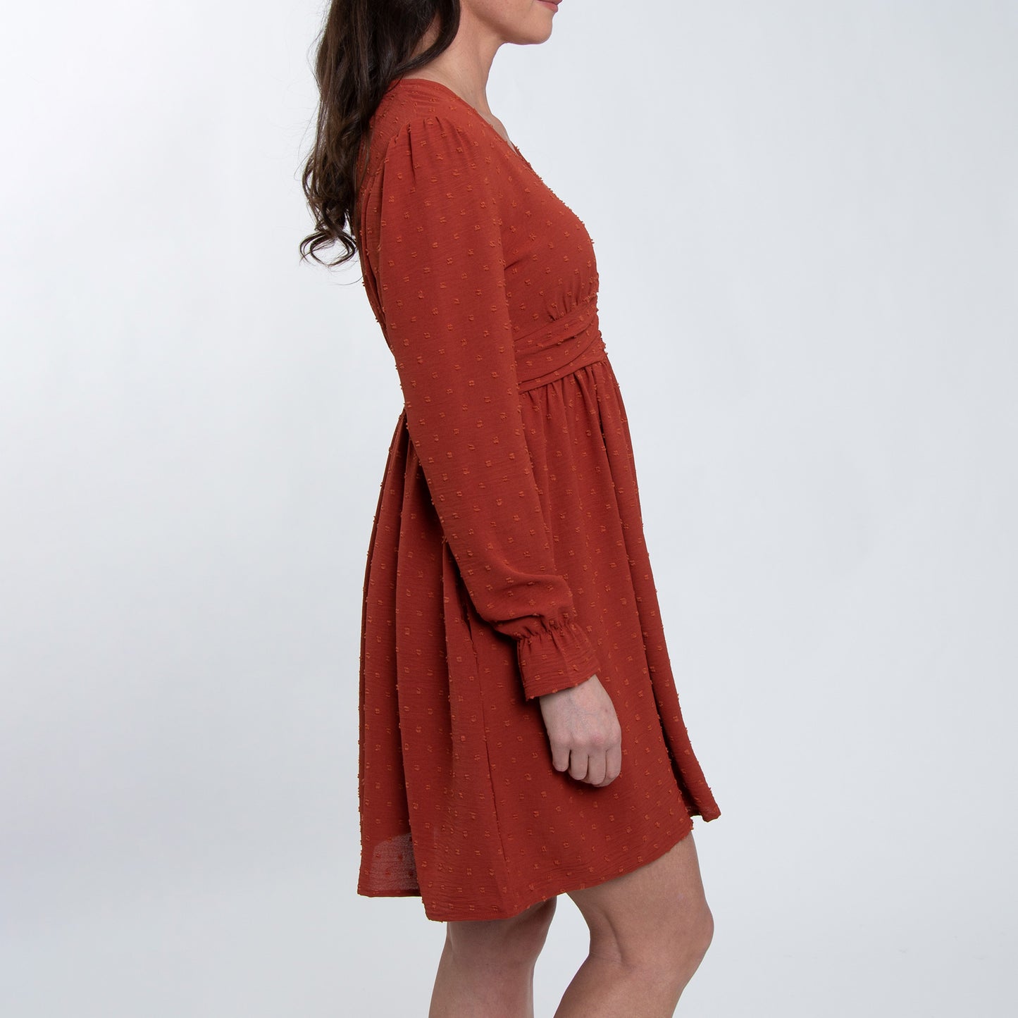 Hayden Swiss Dot Long Sleeve Ruched V-Neck Dress