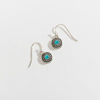Silver Stone Drop Earrings