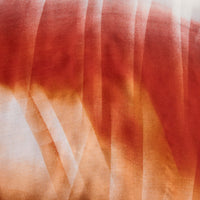Ombre Scarf Fashion Lightweight Fringe Raw Edge Elison Wrap